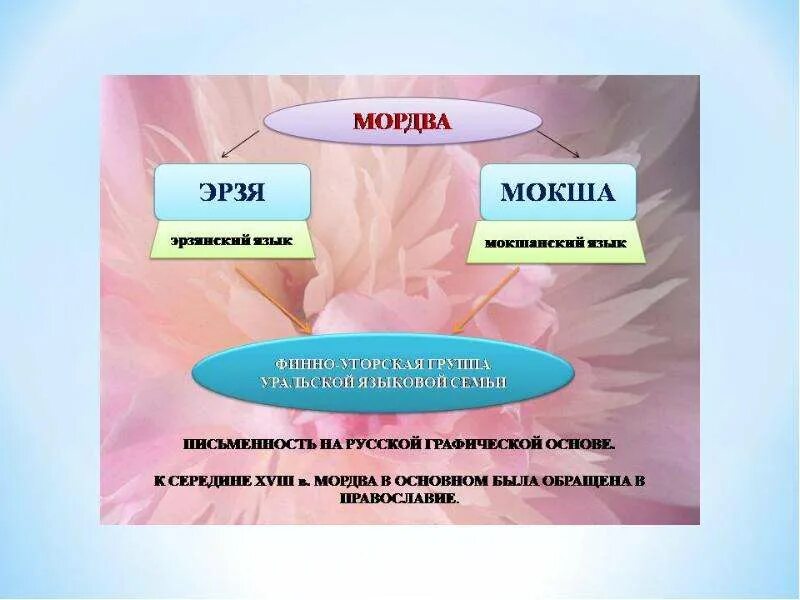 Мордва группа языков. Мордовский язык. Мокшанский и эрзянский языки. Мордовский эрзянский язык. Язык Мокша.