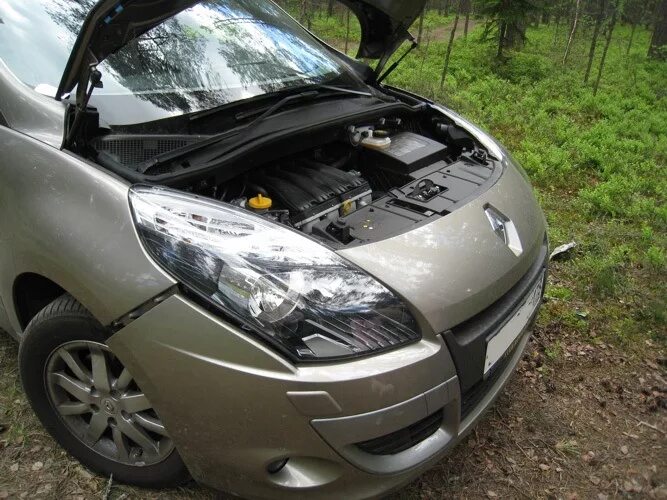 Сетка в бампер - Renault Grand Scenic III, 1,5 л, 2014 года тюнинг DRIVE2