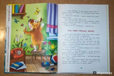 Сони из рассказов