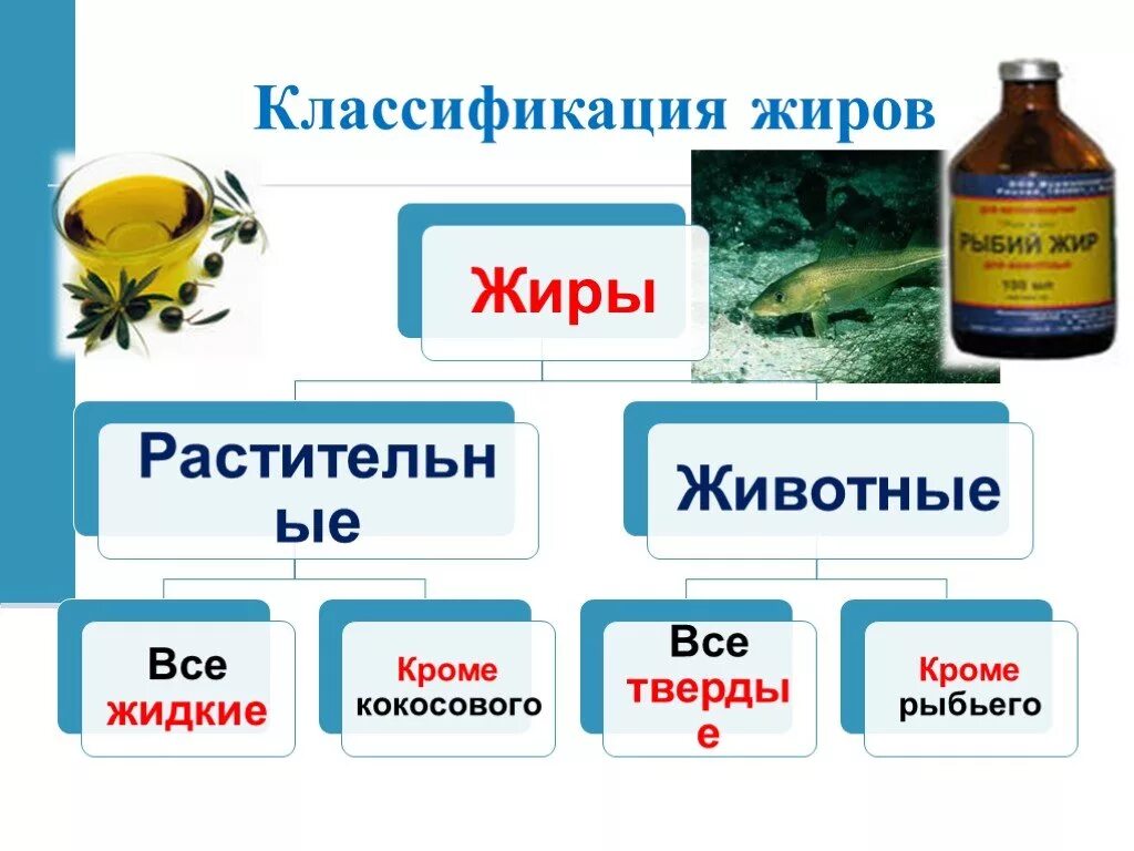 Жиры презентация по химии. Жиры классификация. Классификация жиров химия. Жиры классификация жиров. Классификация твердых жиров.