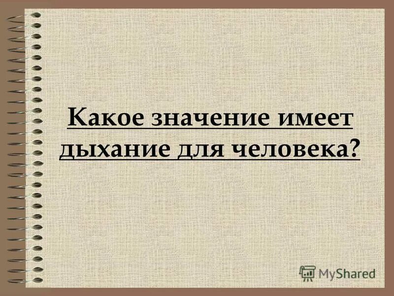 Какое значение имеет дыхание для человека. Какое значение имеет дыхание. какое значение имеет дыхание биология 6 класс.