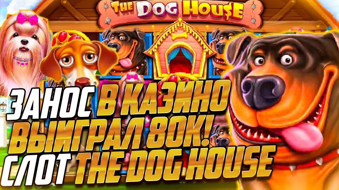 Дог Хаус казино. Дог Хаус слот. Дог Хаус занос. Занос в the Dog House. Dog house слот doghouse