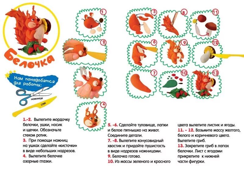 Белочка грызет орешки лепка в старшей группе. Лепим из пластилина схемы. Схема лепки белки. Лепка Белочка. Лепка Белочка в старшей группе.