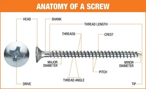 Family screw