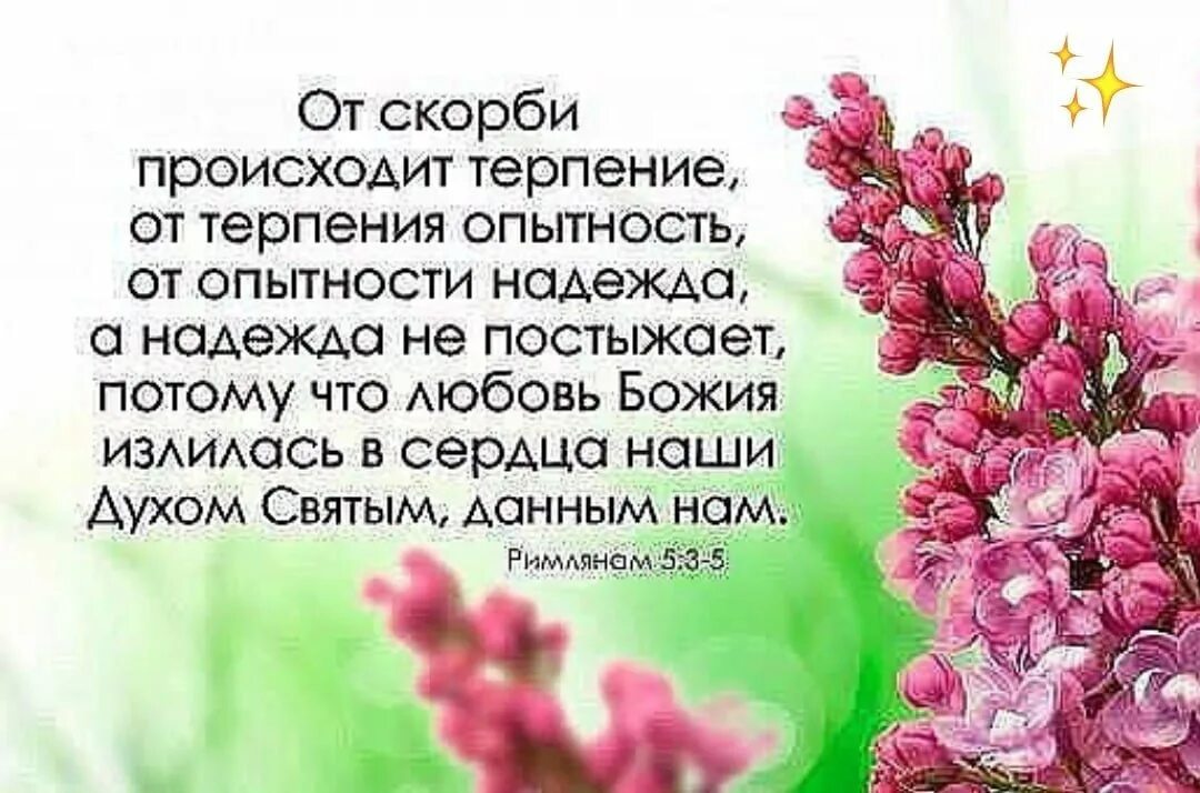 Христианское терпение. От скорби происходит терпение от терпения опытность. Терпение в Библии. Открытка терпения