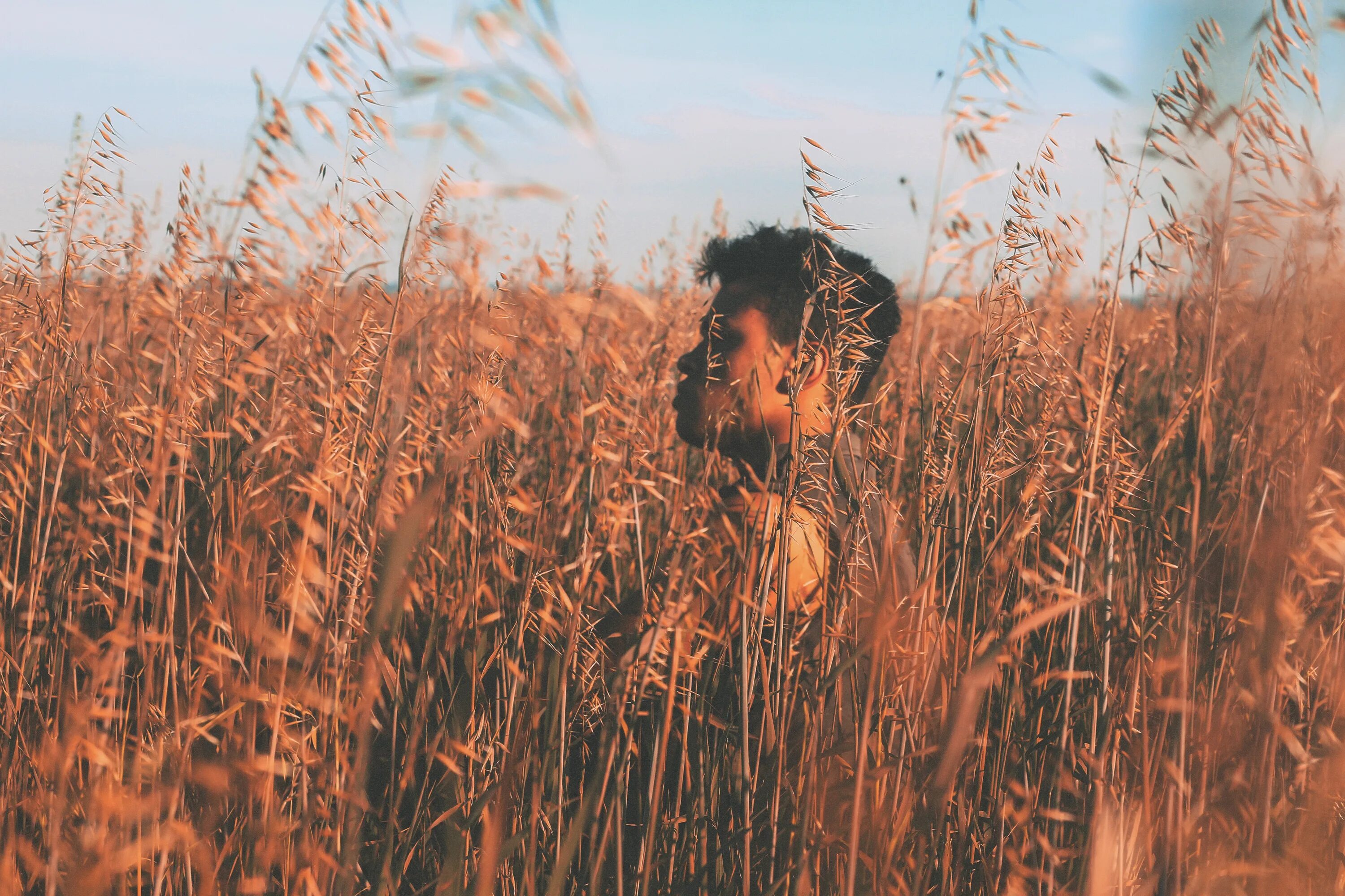 Человек смотрит в поле. Человек в поле Эстетика. Человек в поле на закате. Фотосессия в поле Эстетика. Пшеничное поле человек.