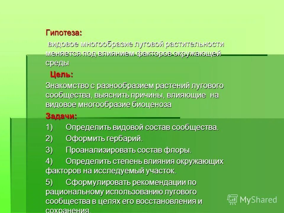 Видовое разнообразие луга. Видовое разнообразие растений. Видовое многообразие растений. Задачи на видовое разнообразие. Задачи многообразие растений.