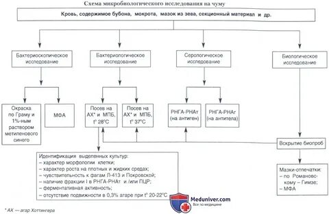 Современная эпидемиология и микробиологическая диагностика карантинных инфекций