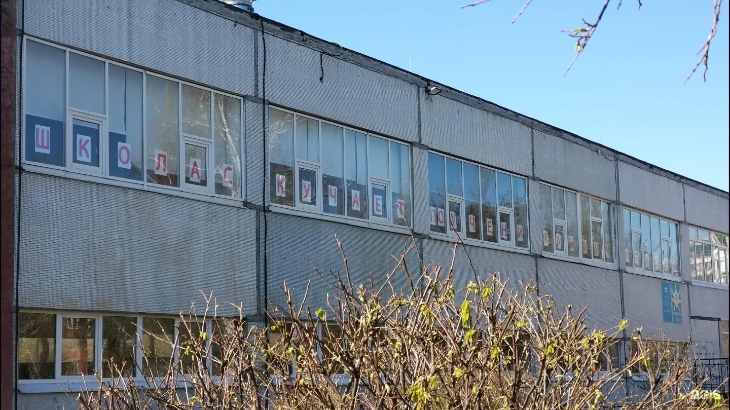 Гимназия 35 эмблема. Гимназия 35 фото. Гимназия no 35. Гимназия no 35. 35 школа екатеринбург.