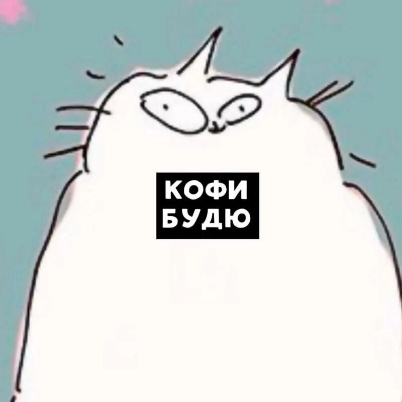 Кот с кофе мем Пин от пользователя иваново море на доске picture2 Милые котики, Котята, Кошачьи