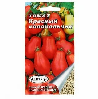 Томат колокольчик