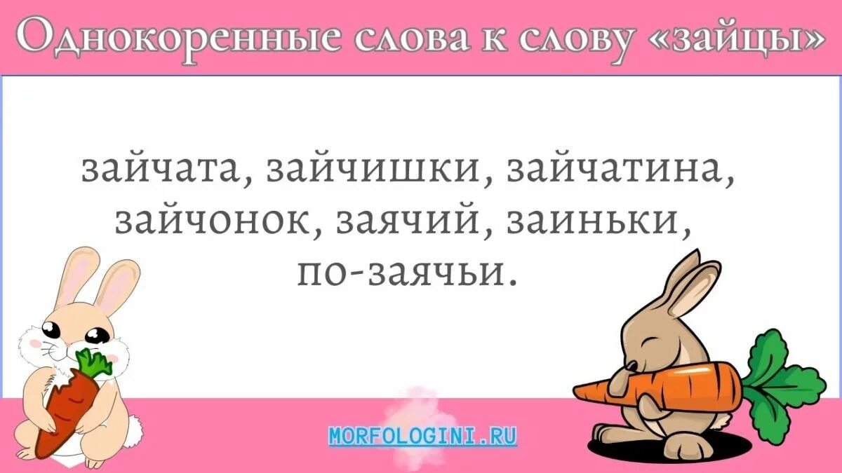 Однокоренные слова к слову заяц. Заяц корень слова. Разбор слова зайца 3. Зайчик корень слова.