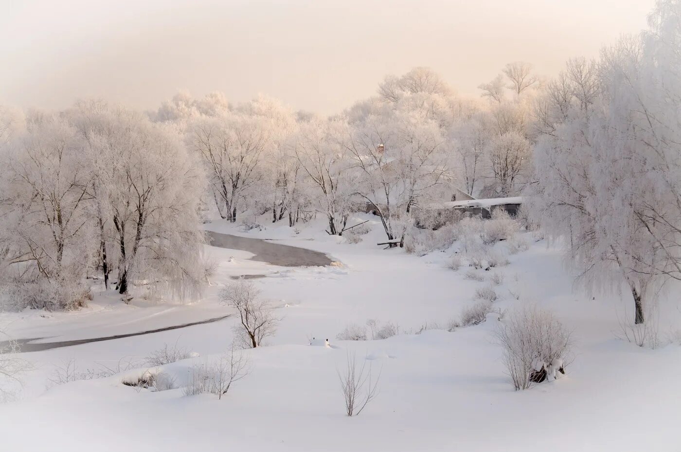 Псково-печерский монастырь рождество. Владимир жданов зима в деревне. Псков зима. Зима живопись. Зимние игры для детей на улице.