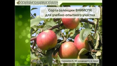 Селекция плодовых