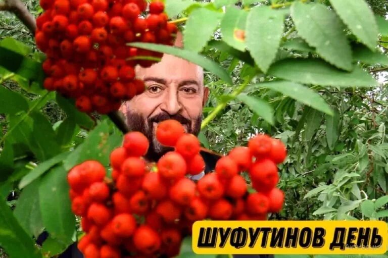 3 сентября костры рябин картинки. 3 сентября костры рябин картинки. Шуфутинский и рябина. Костры рябин шуфутинский. 3 сентября.