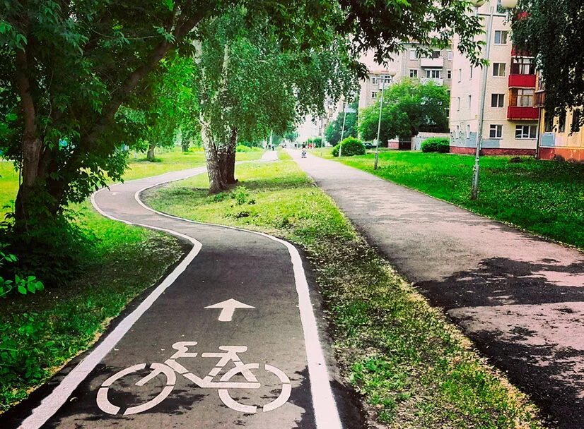 Вдоль городских. Деревья в городе. Река в городе. Тротуар. Деревья вдоль трассы.
