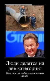 Делятся на две категории