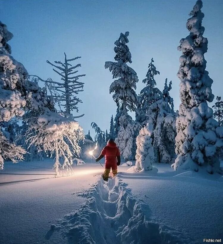 Зимой будет мир. Парк ростокинский акведук медведи. Мир зимой. Зимой будет мир. Морозный лес.