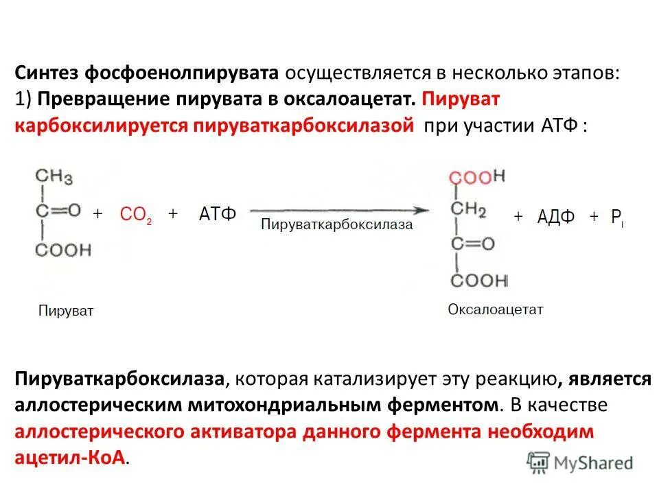 Пируват атф