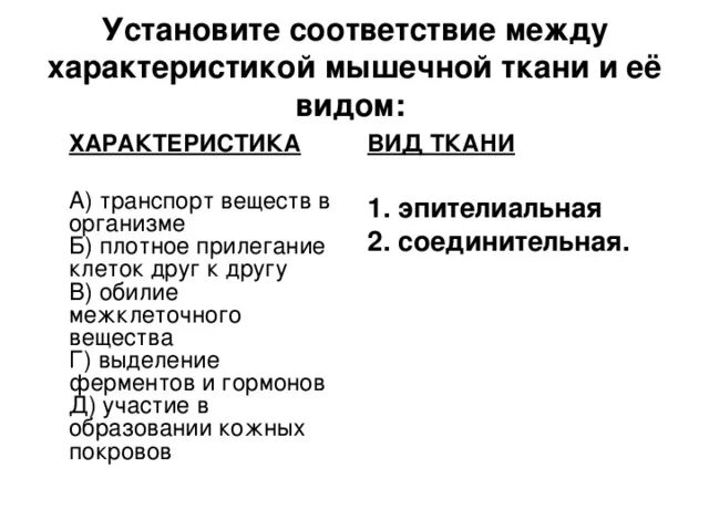 Установите характеристики между характеристиками. Установите соответствие между видами мышечной ткани. Установите соответствие между характеристикой мышечной ткани. Установите соответствие между характеристиками и видами тканей. Установите соответствие между характеристикой ткани и её видом.