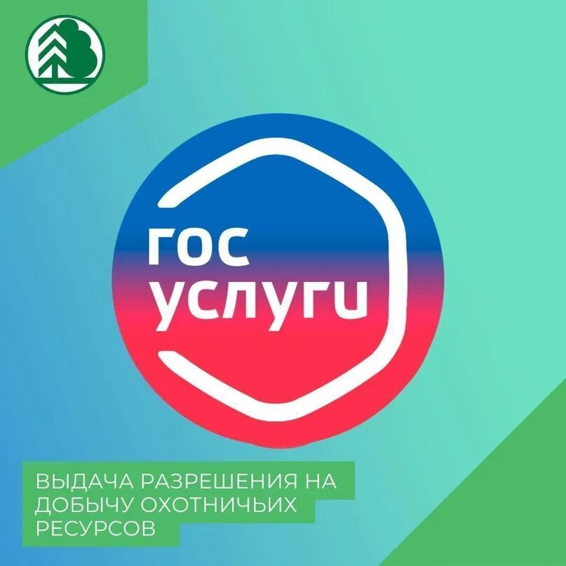 Прием лесных деклараций