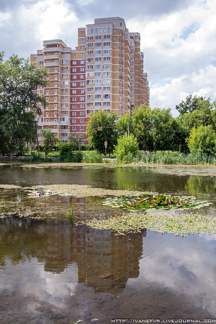 Железнодорожный Кучино микрорайон. Кучино Балашиха. Москва Балашиха мкр Кучино. Парк в Кучино Балашиха. Новостройки пруд