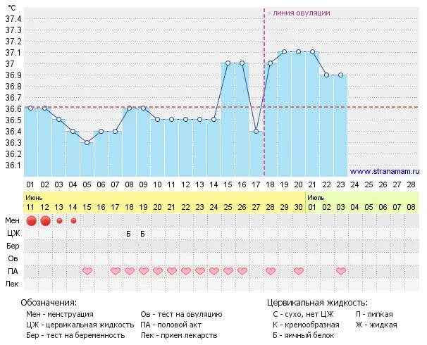 Температура после овуляции форум