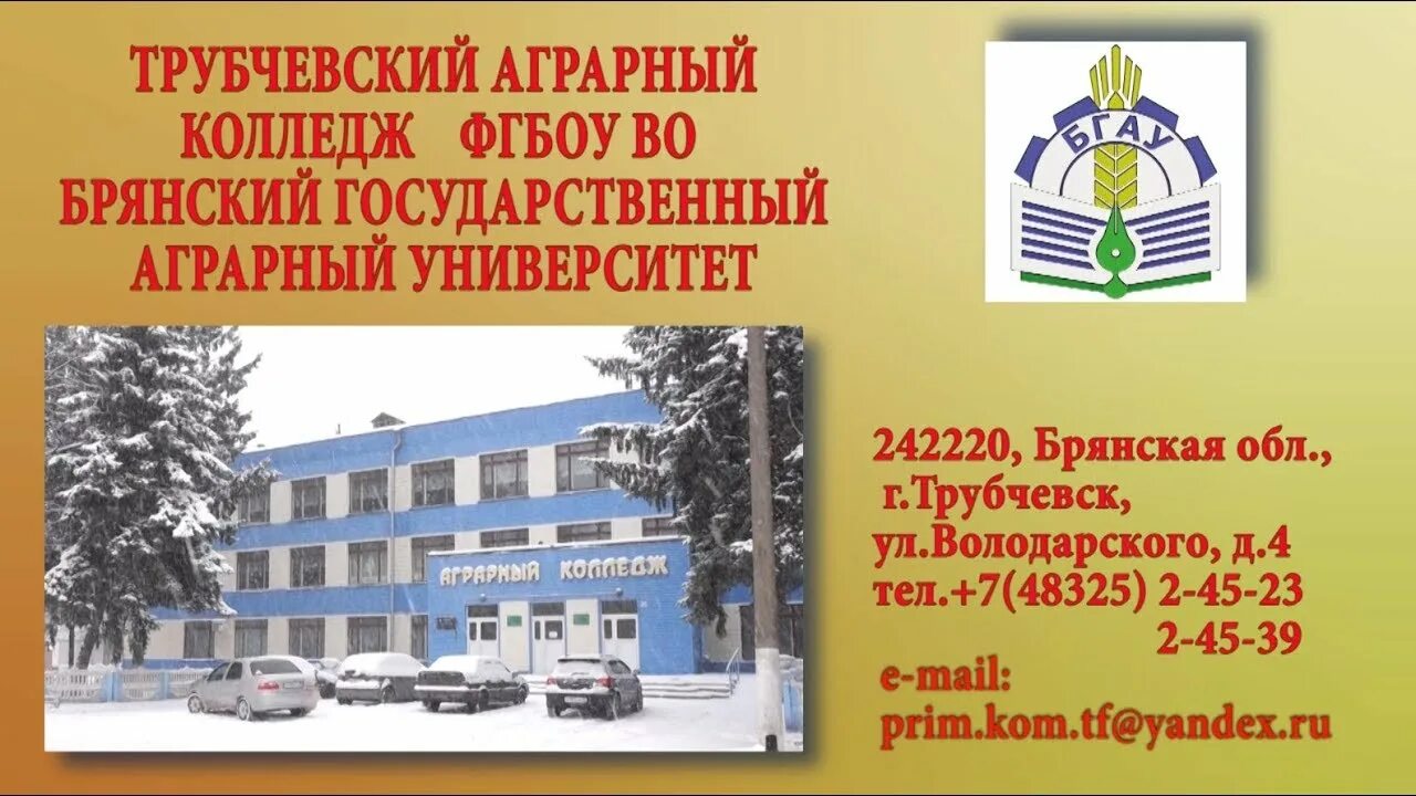 Колледжи и техникумы брянска после 9 класса
