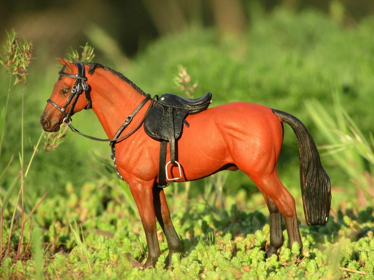 Horses model