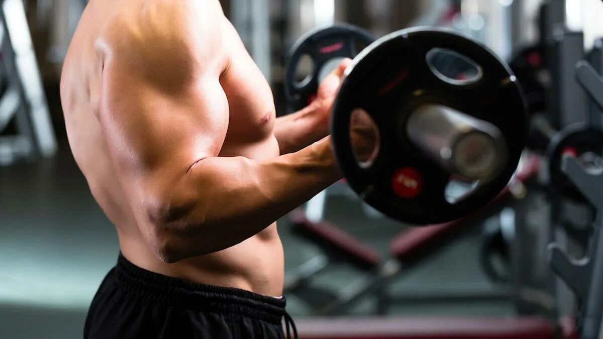 Войтенко руки. Make body. Музыка качаю руки. Музыка качаю руки. Рука с гантелей.