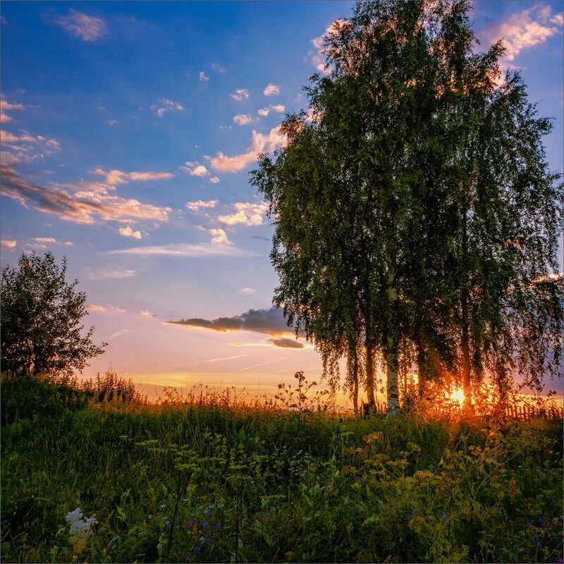 Околица осенью. За околицей 2024. Околица фотографии. Над рекою село. Деревня околица тверская область.