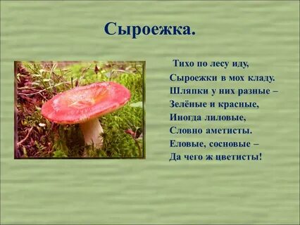 Почему сыроежку назвали сыроежкой