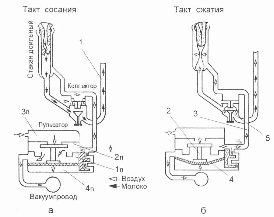 000 схема сборки. Трехкамерный доильный аппарат схема. Схема доильного аппарата стакан. Схема трехтактного доильного аппарата. Схема работы двухтактного доильного аппарата.