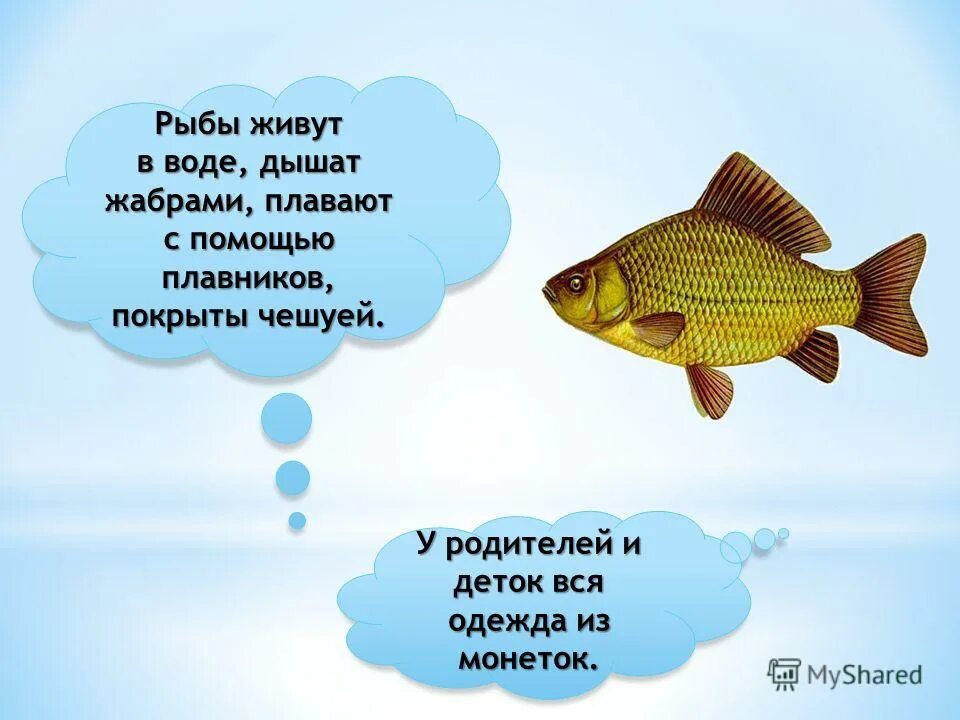Рыбы не живут без воды. Стихи про рыб. Стих про рыбу для детей. Стих про рыбку. Детские стихи про рыб.