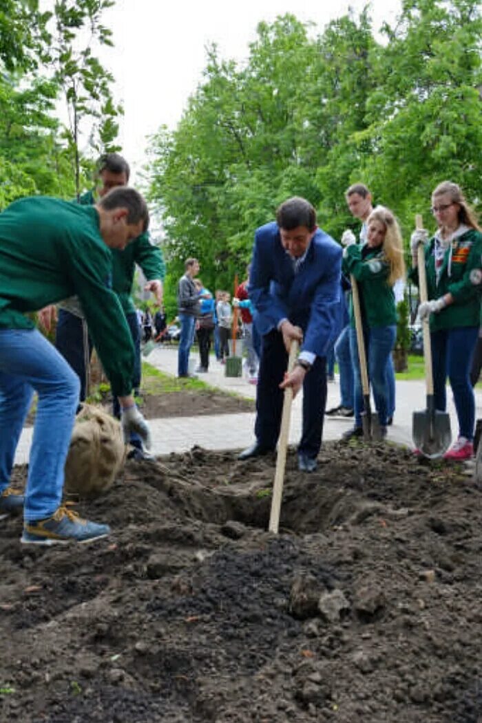 Высокая посадка деревьев. Студотряды сажают деревья. посадка деревьев в воронежской области. высадка деревьев в лесу апшеронск. сельхоз институт высадка деревьев.