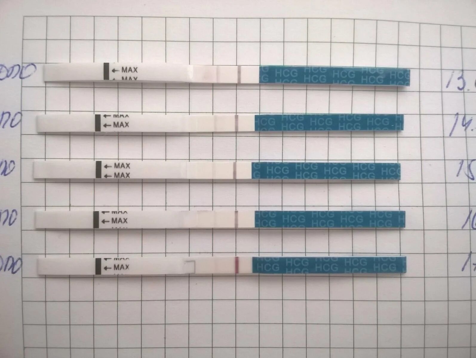 Тест на беременность после укола ХГЧ. Тест на 8 день после укола ХГЧ. Тесты после укола ХГЧ 10000. Тесты после укола ХГЧ по дням.