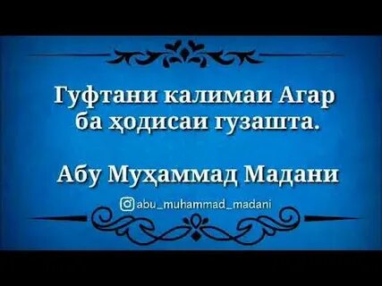 Маъно дорад
