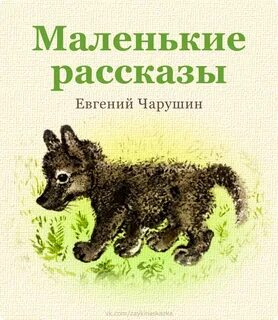 Рассказы чарушина картинки