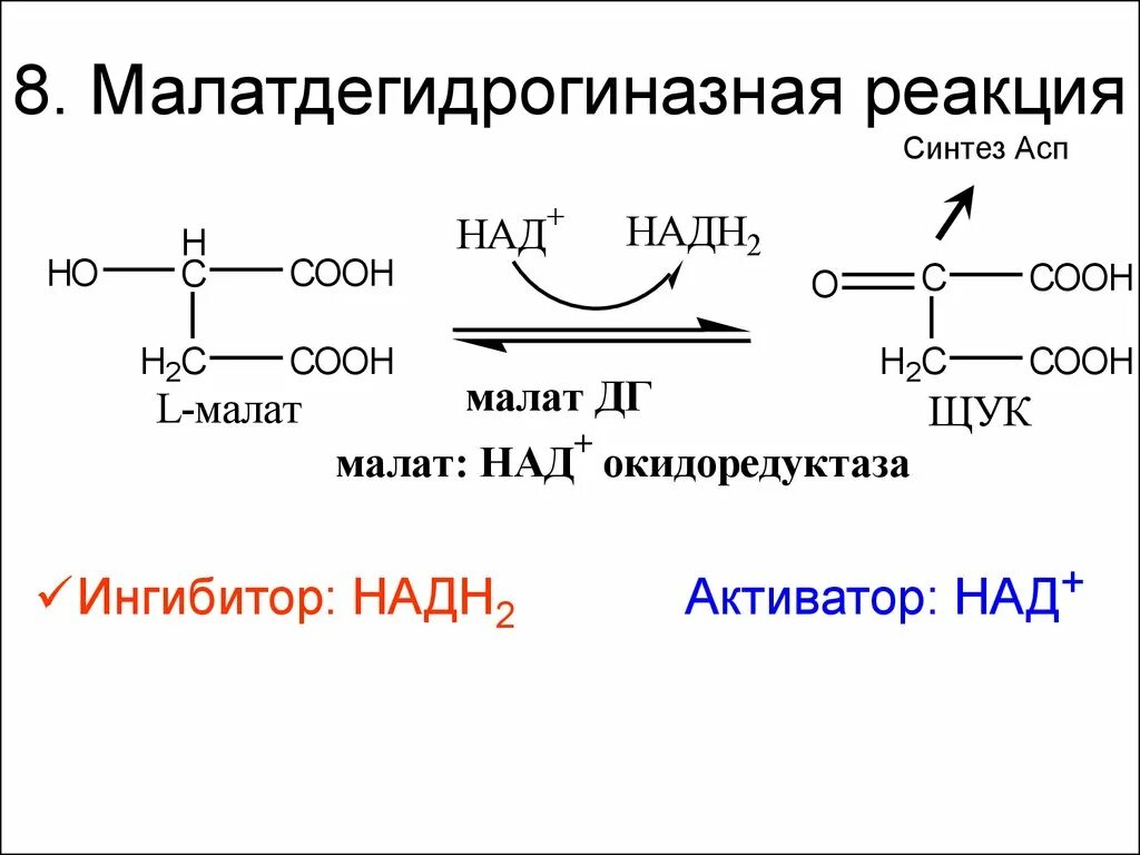 Микросомальное окисление биохимия схема. Над реакции биохимия. Биохимические реакции примеры. НАДН биохимия.