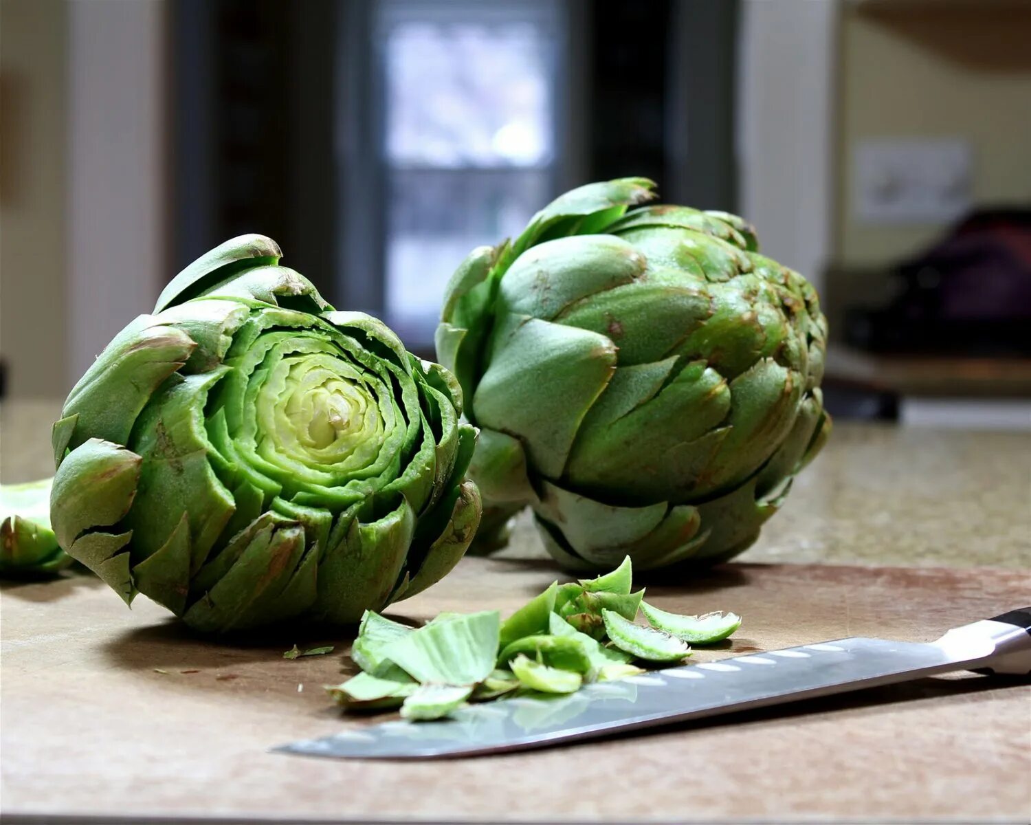 Артишок полевой. Артишок зеленый. Артишок зеленый. Staub артишок. Соцветие артишока.