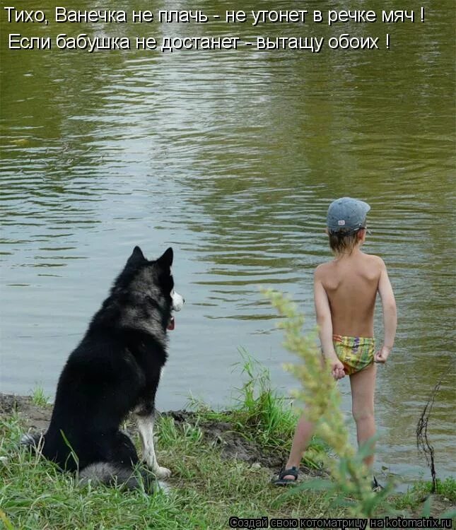 Маламут купается в речке. Утонул в речке мячик. Котоматрица вода. Фотографию мужчины с мячиком и собака у речки.