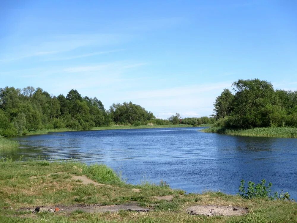 поселок борское калининградская область. гостиница посёлокборское калининградская область. сайт школы поселка борское. борская школа гвардейский район. борское калининград.