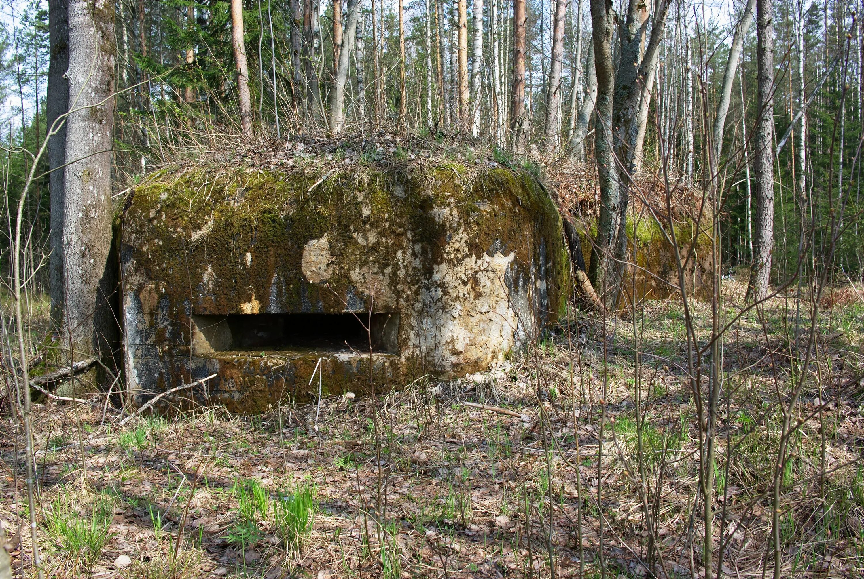 дзоты второй мировой ленинградская область. доты и дзоты второй мировой войны. народный музей дот оборонительного рубежа «ижора». в. дот в купчино.