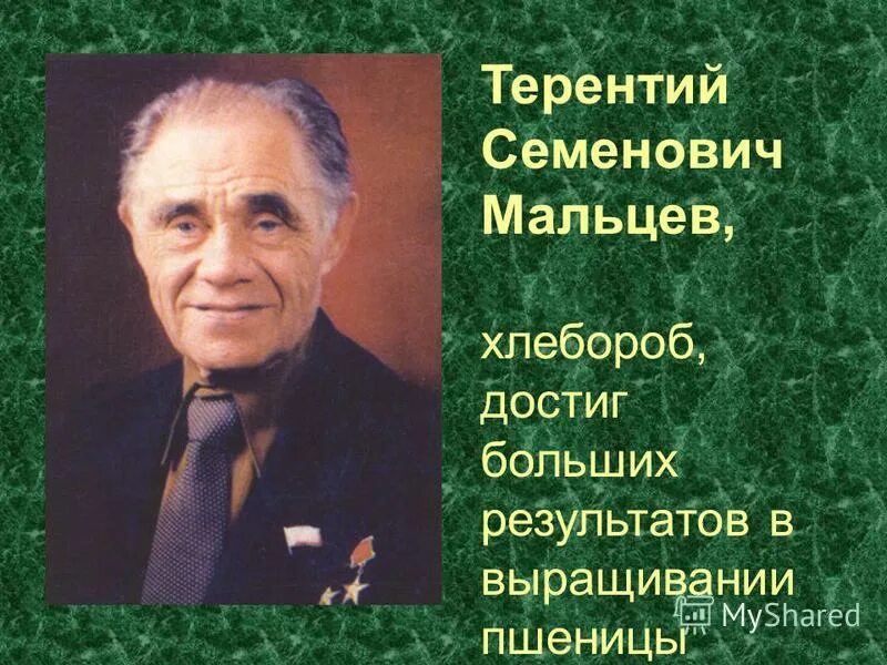 Каким был мальцев