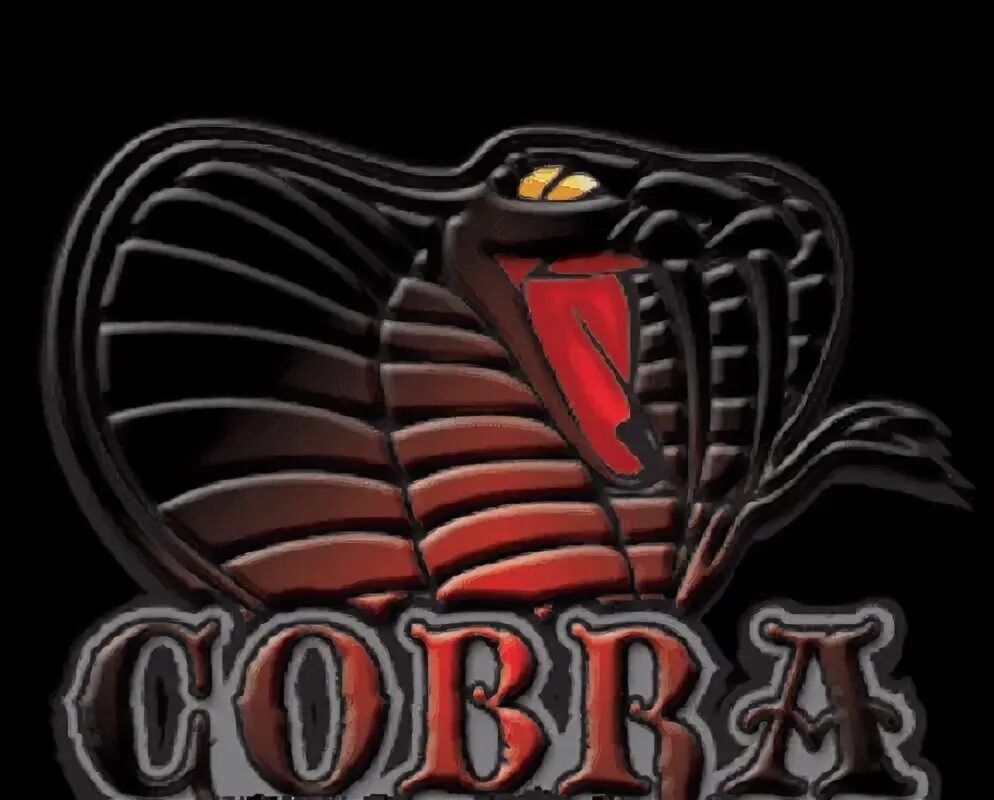 Прошивки cobra. Патч Кобра. 4 Кобры. Кобра общественная организация. Темы Кобра, командо.