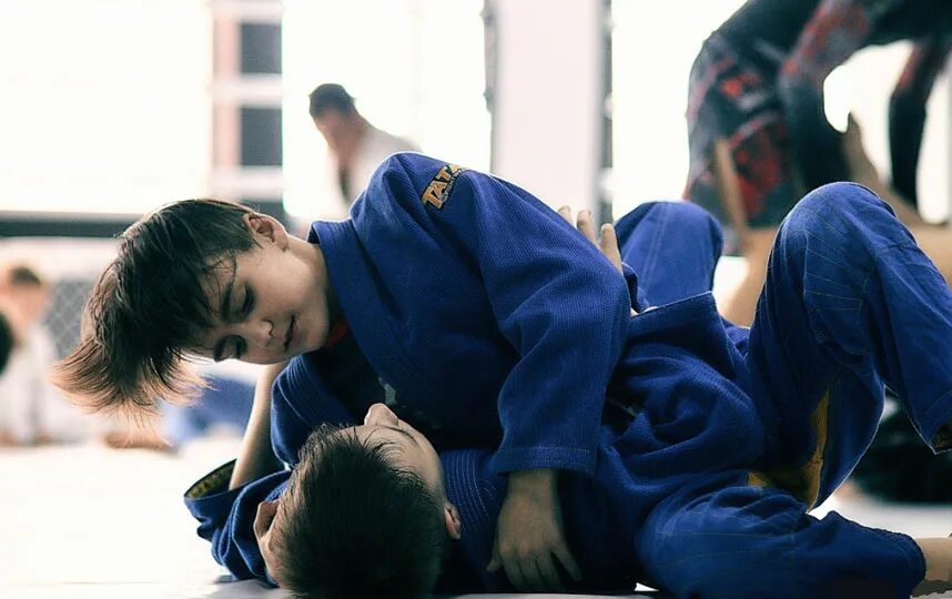 Танака мастер боевых искусств. Ryu street fighter персонажи. Фэнтези боец рукопашник арт. Теккен таэквондо стрит файтер. Пол феникс tekken 3.