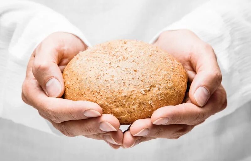 Дает с руки еду. Хлеб в руках. Хлеб на ладошке. Круглый хлеб в руках. Хлеб в ладонях.