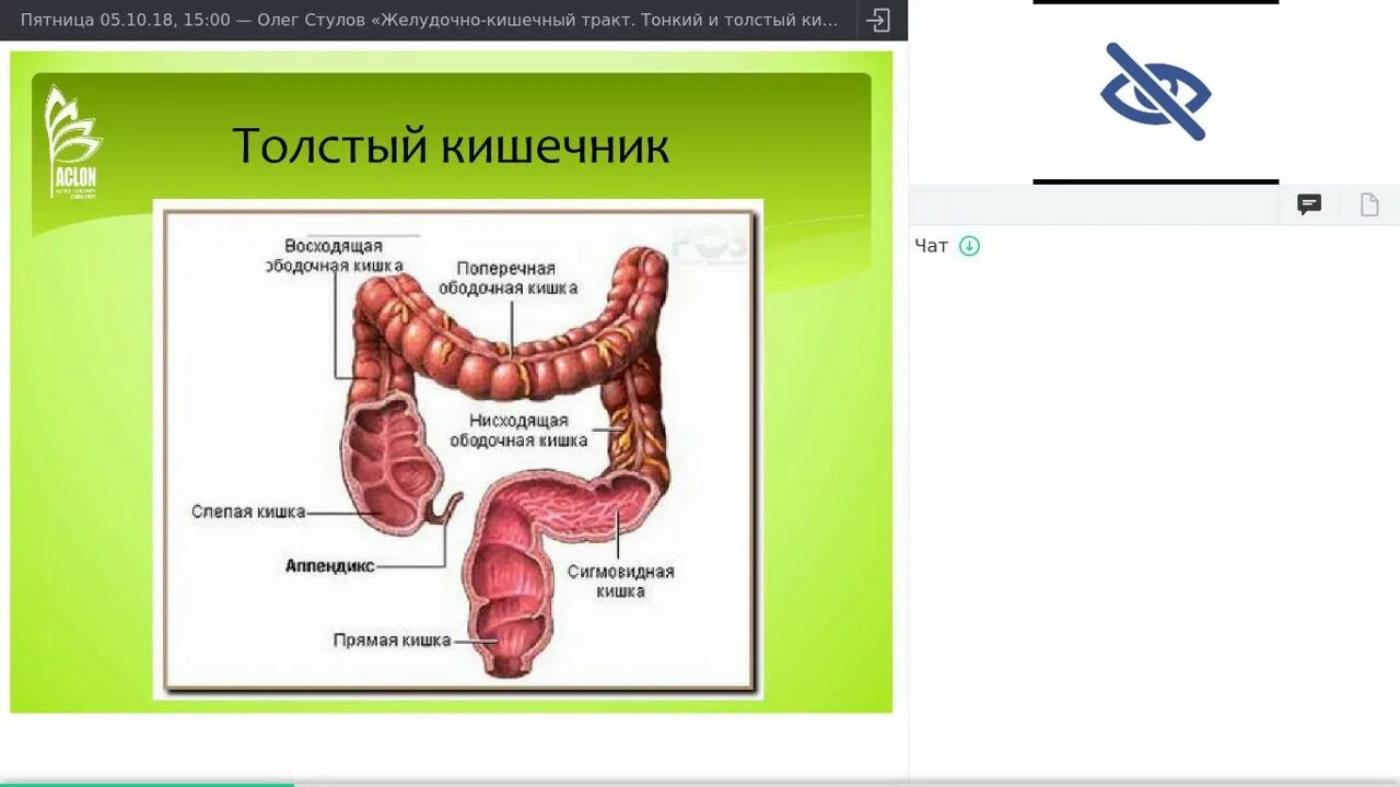 Толстая кишка среда. Виоргоны для желудка и ЖКТ. Программа виоргонов для ЖКТ. Гормоны толстой кишки. Толстый кишечник субстрат.