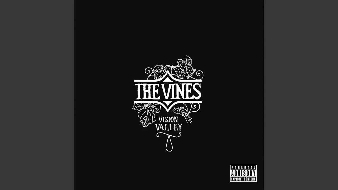 I don t listen the radio. Valley of vision. vine. don&#039;t listen to the radio the vines. don&#039;t listen to the radio.