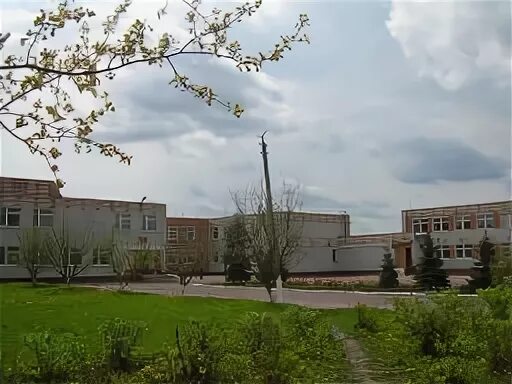 директор снежской гимназии брянского района. путёвка. школа 39 брянск. путевка снежская гимназия. школа снежская гимназия брянск.